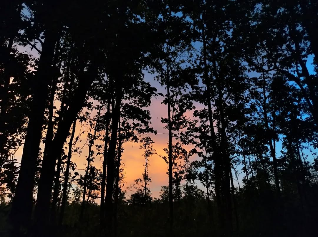 Sunset over the plains