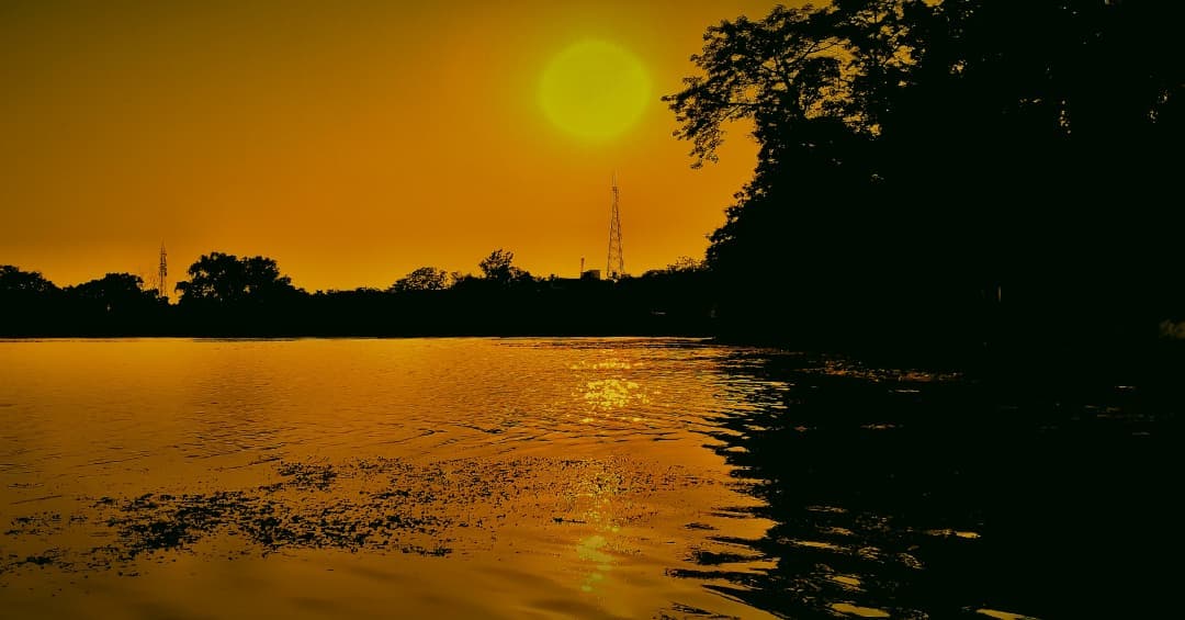Golden sunrise