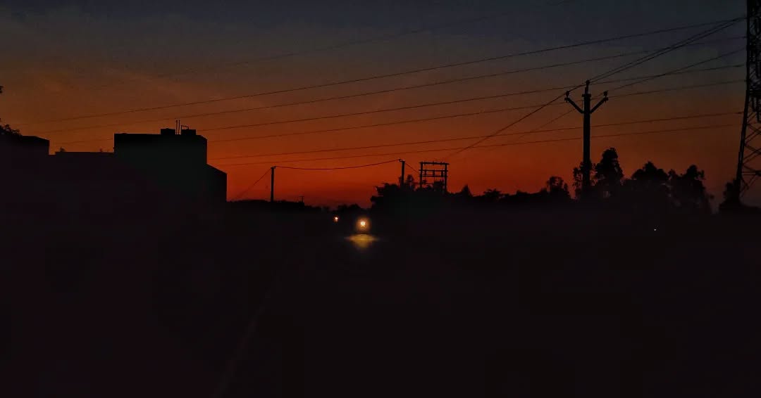 Riverbank at dawn