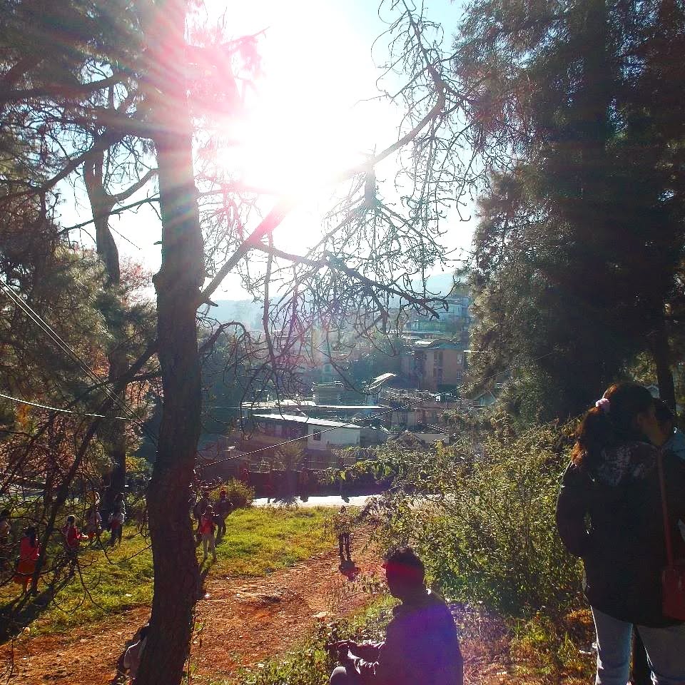 Sunrise in the forest
