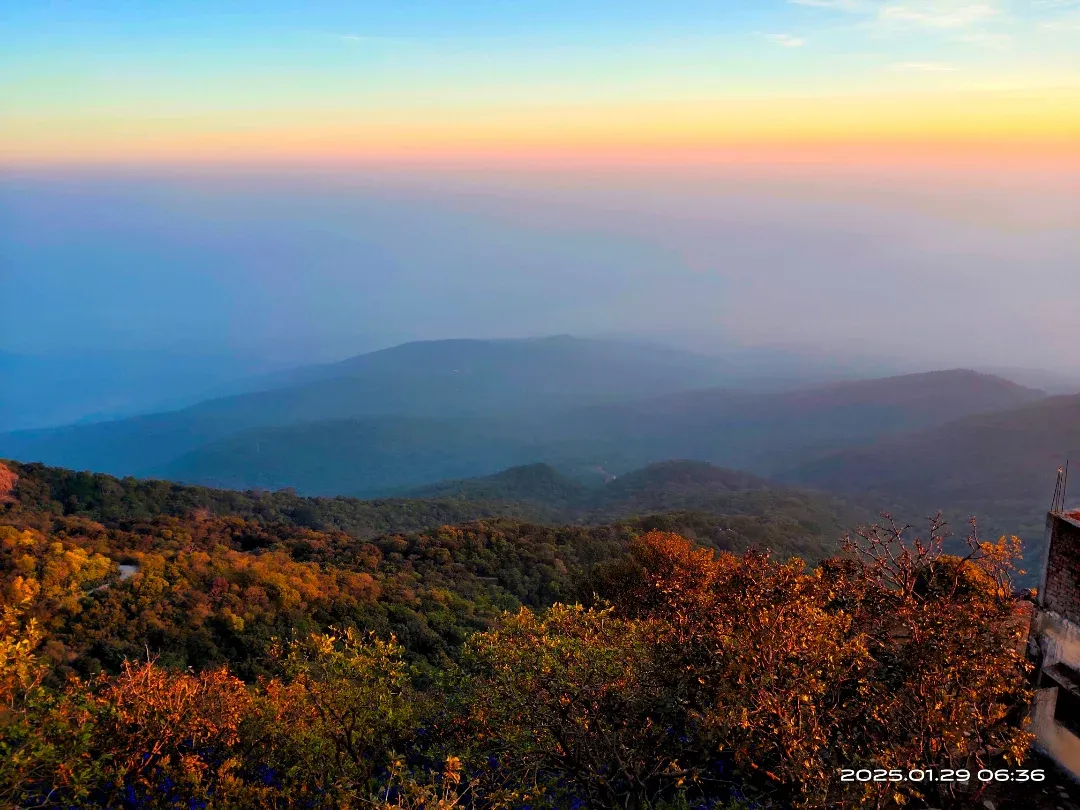 Nature Blog Image 1